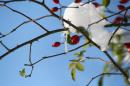 neve vezzano rio 4